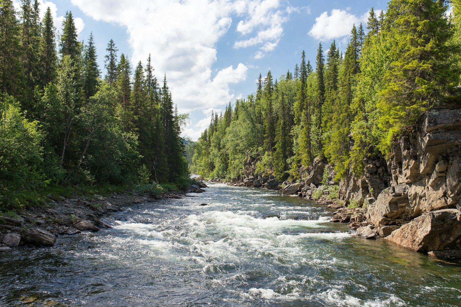 A river running fast over shallow rock through a spruce-lined valley, with a rock bluff on the far bank.