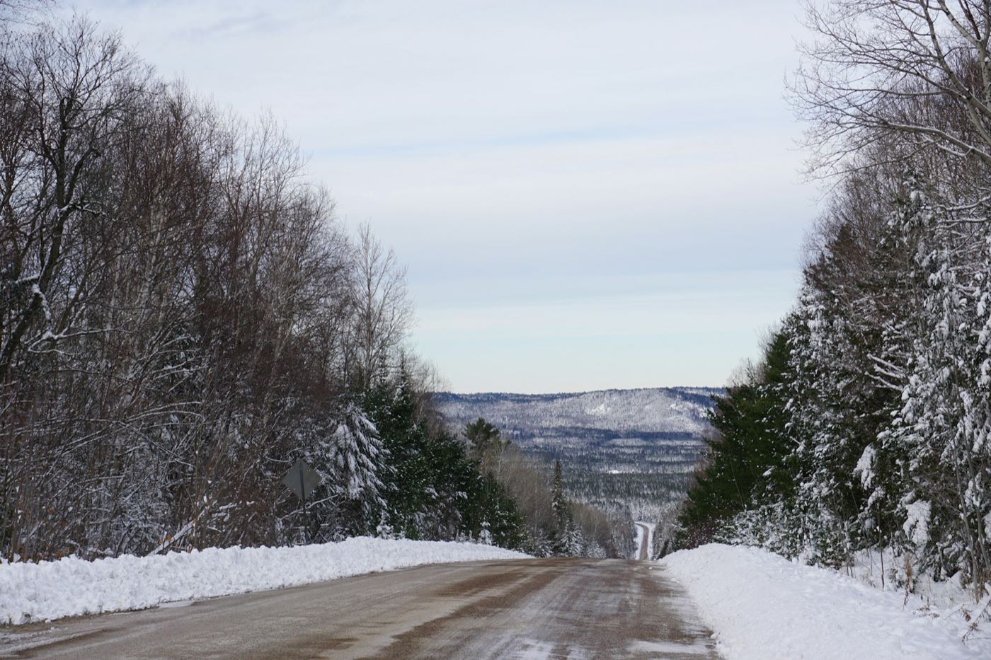 A plowed two-lane road running downhill between snow-covered trees toward a low forested ridge.